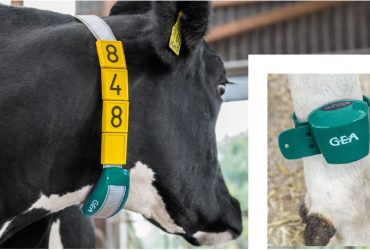 DairyManagementSystem 21