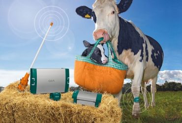 Produktyvi banda su CowScout