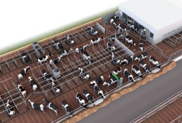 Technologinis tvartų projektavimas