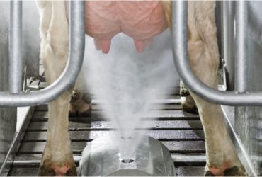 Higiena ir eksploatacinės medžiagos