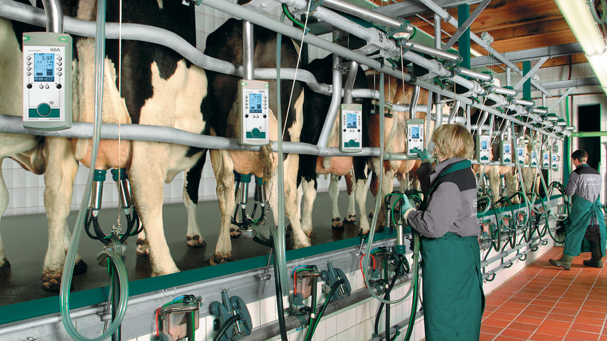 DairyFarming Euroclass