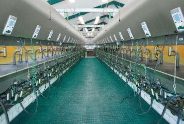 Tradicinis melžimas