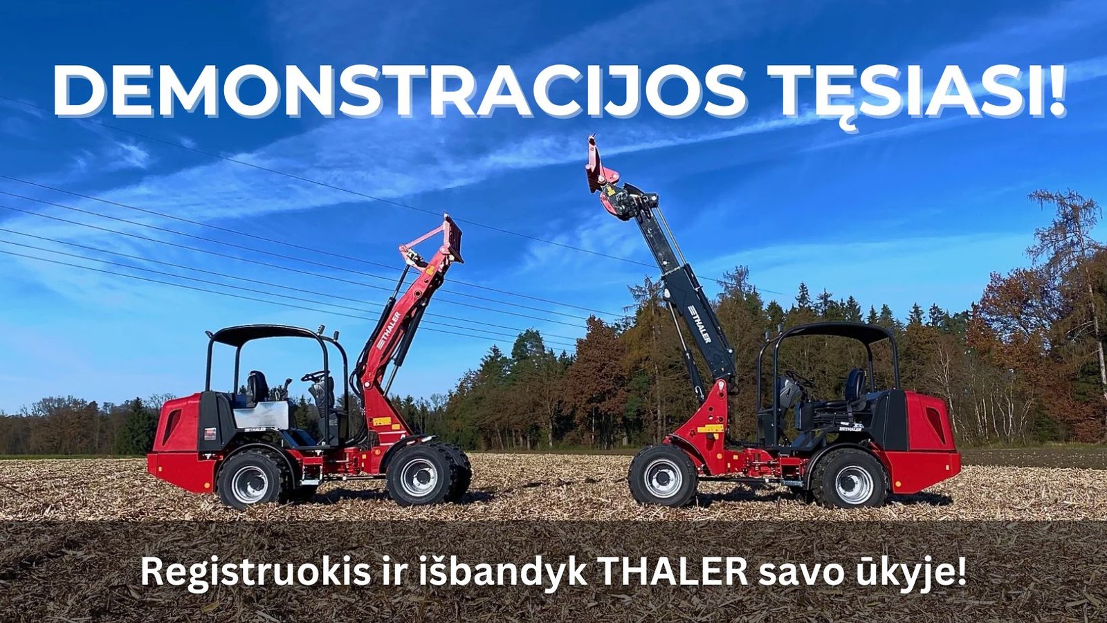 Išbandyk Thaler - puslapio viduje