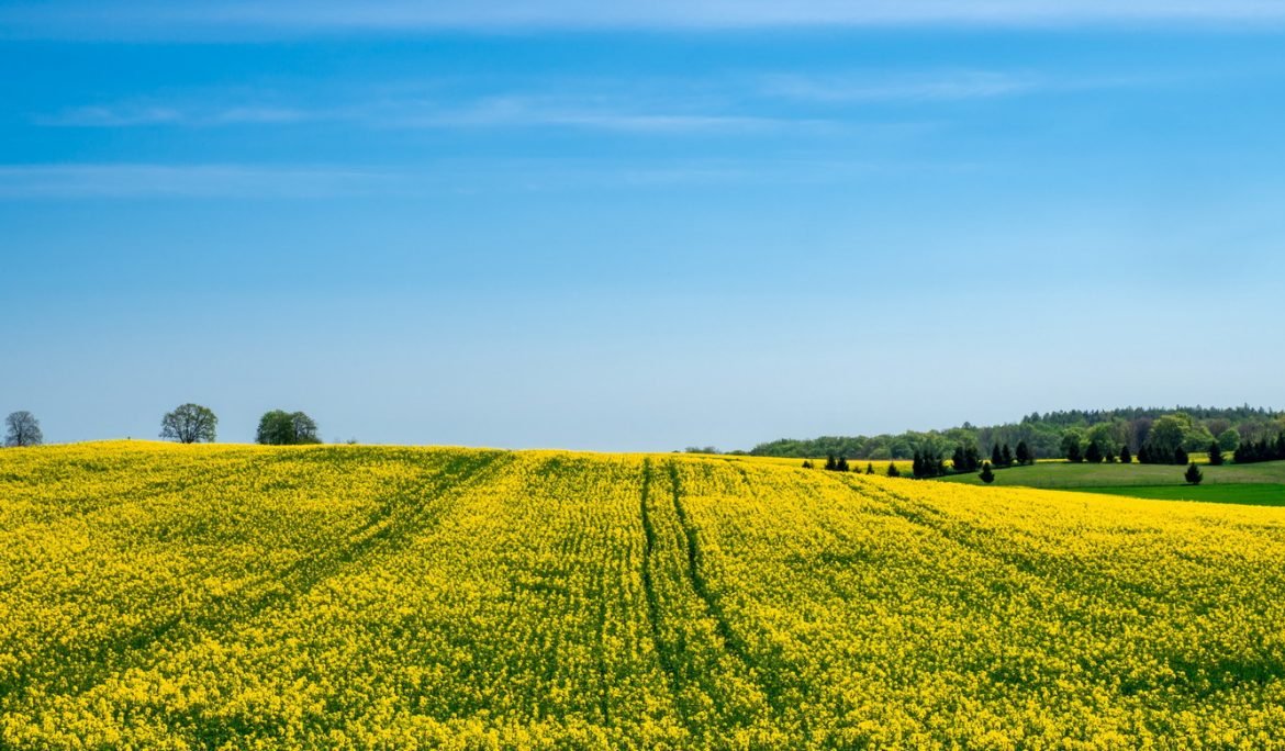 ES parama investicijoms į žemės ūkio valdas