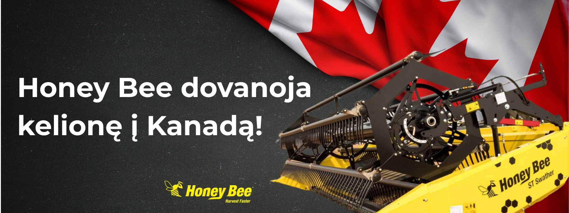 WEB banneris didelis