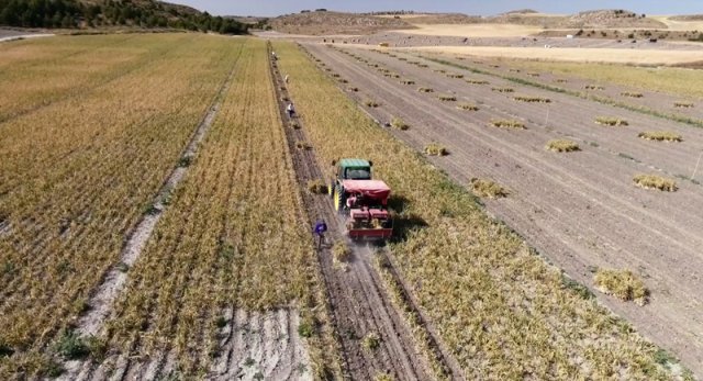 Broch-ARAT22018.ArrancadoraAtadoradeajos.00_02_Arrancadora-atadora-ajos-JJBroch