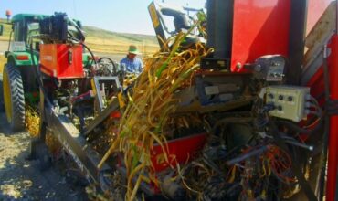 Česnakų nuėmimo kombainas Broch