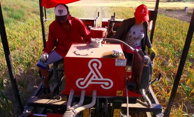 JJBroch-arrancadoras-ajos