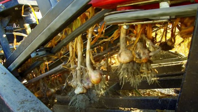 JJBroch-cinta-cortadora