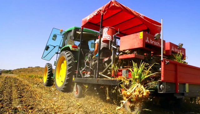 JJBroch-garlic-harvester