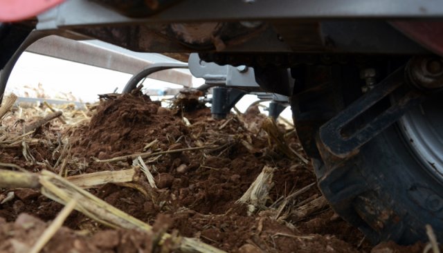 PLMA-garlic-planter-JJBrochjpg