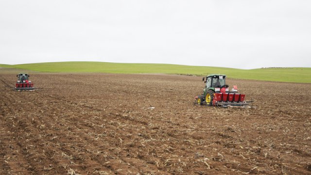 sembradora-ajos-JJBroch